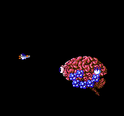 salamander-stage1boss.GIF