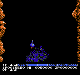 salamander-stage2.GIF